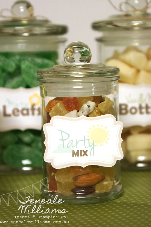 Baby Shower Jar. Teneale Williams. Stampin' Up! MDS