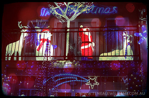 Christmas Lights Teneale Williams Hello December