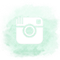 Social Icon Hint Of Mint - Instagram