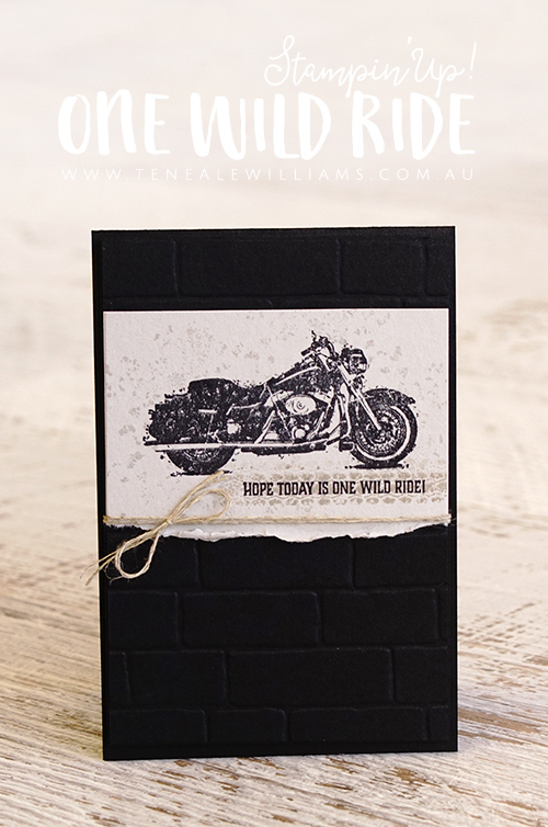 By Teneale Williams | Stampin' Up! One Wild Ride
