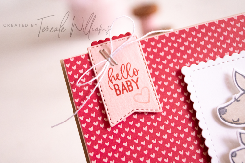 By Teneale Williams kangaroo & company stampin up Stamp up from Stampin Up cute baby card