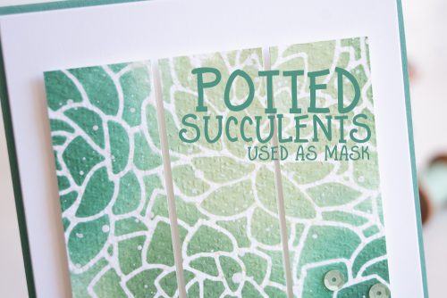 By Teneale Williams potted-succulents card from Stampin Up