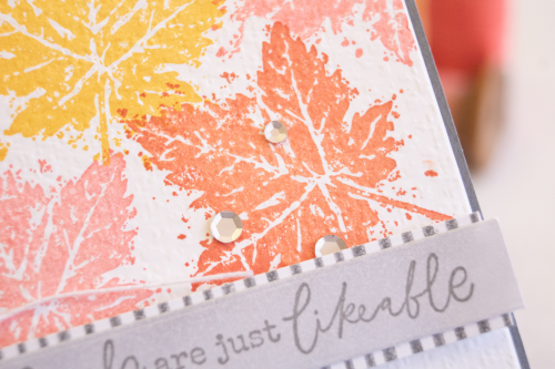 Gorgeous Leaves Stamp set Stampin up Teneale williams colorful leaf tag with wrapped gift packaging idea