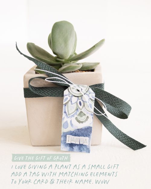  By Teneale Williams I love giving a plant as a small gift add a tag with matching elements to your card & their name. wow