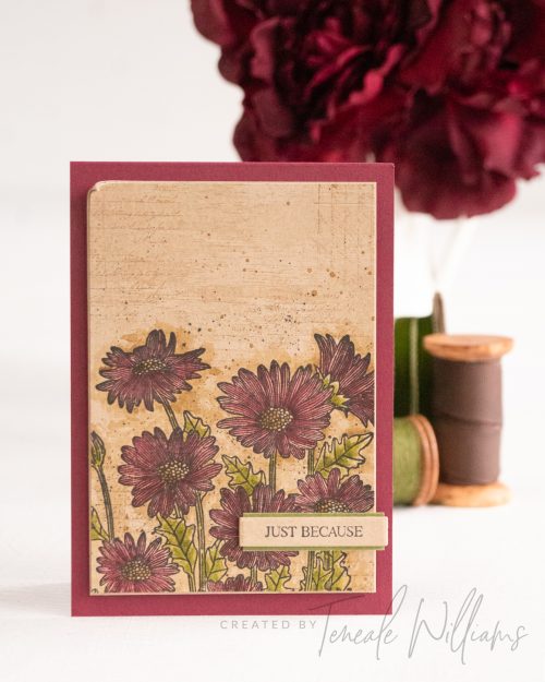 By Teneale Williams Daisy Garden Stamp Set Watercolor on Crumbcake cardstock vintage inspired card Stampin Up