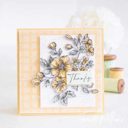 By Teneale Williams Perfectly Penciled printed paper DSP Blends Thanks card Stampin' Up! Sydney Australia Online