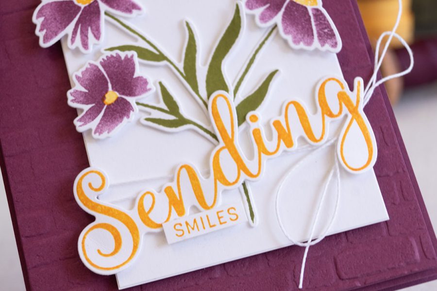 By-Teneale-Williams-Sending-Smiles-Stamp-Set-from-Stampin-up-with-Sending-dies-